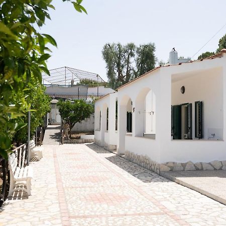 Ferienwohnung Penta Garden Peschici Exterior foto