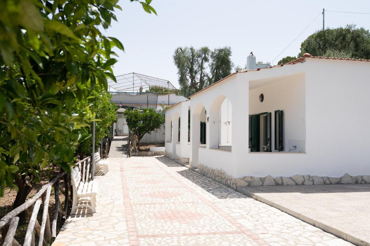 Ferienwohnung Penta Garden Peschici Exterior foto