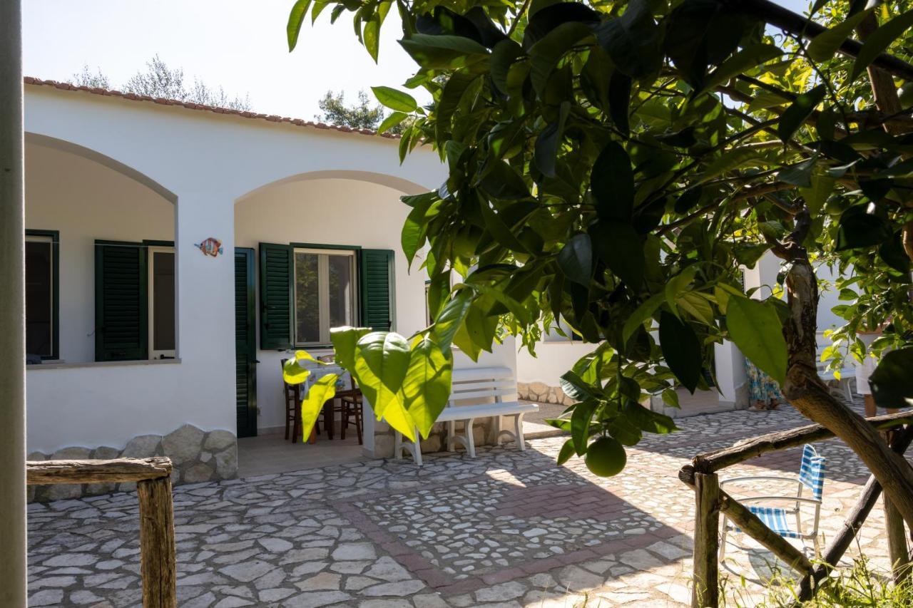 Ferienwohnung Penta Garden Peschici Exterior foto