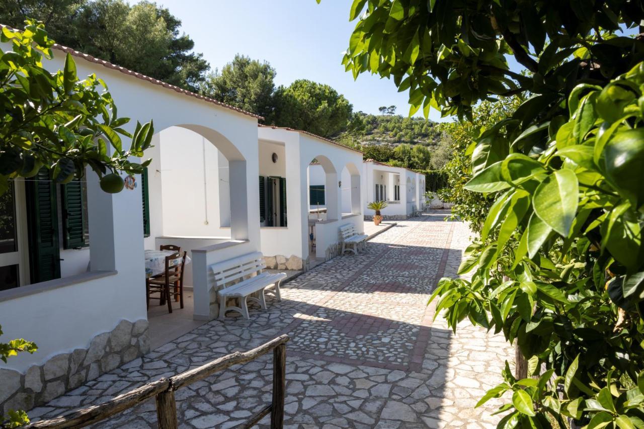 Ferienwohnung Penta Garden Peschici Exterior foto