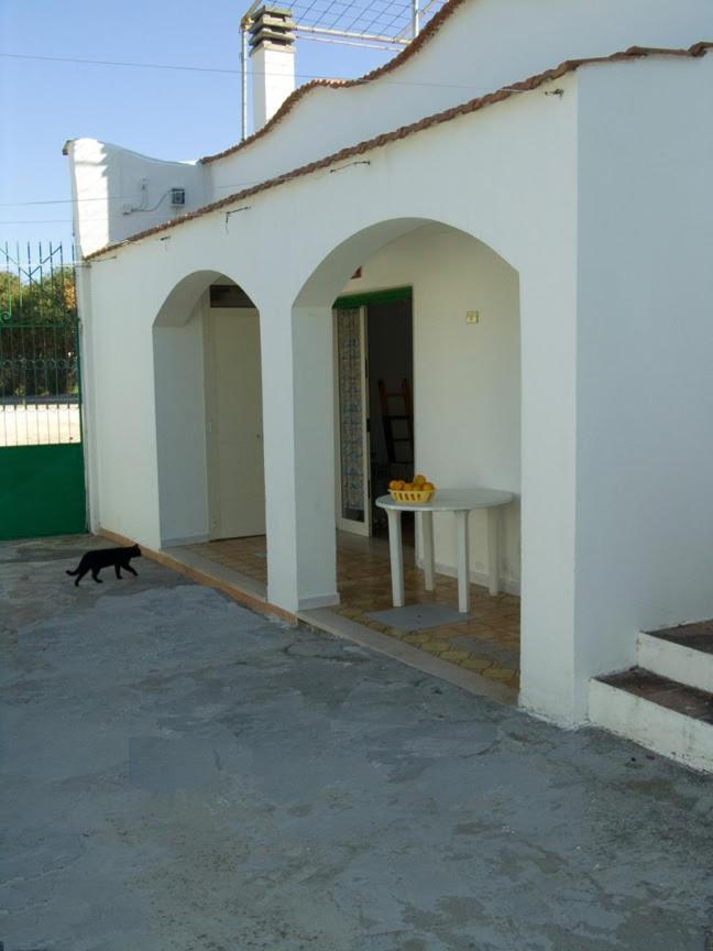 Ferienwohnung Penta Garden Peschici Exterior foto